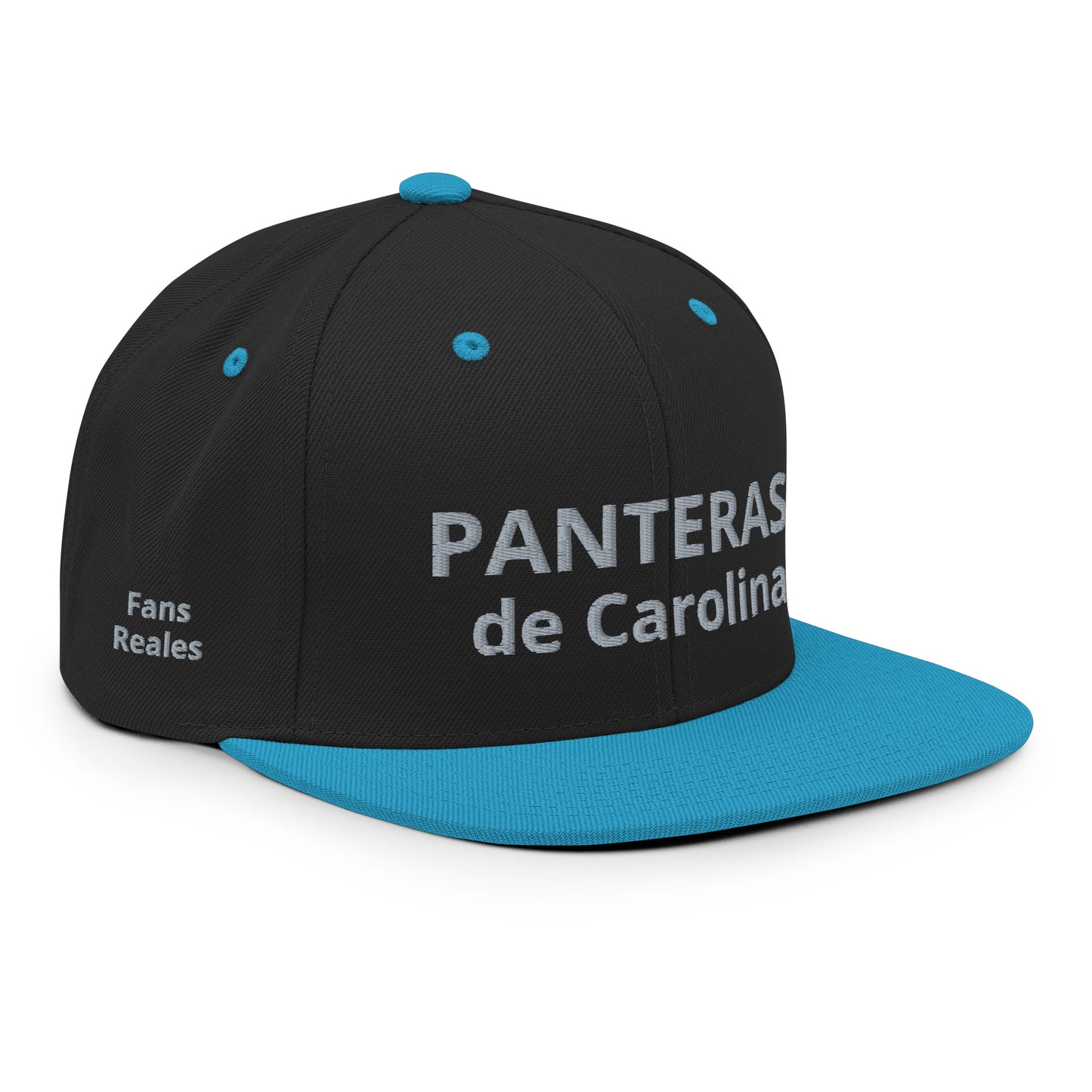 Snapback Hat - Panteras (1)