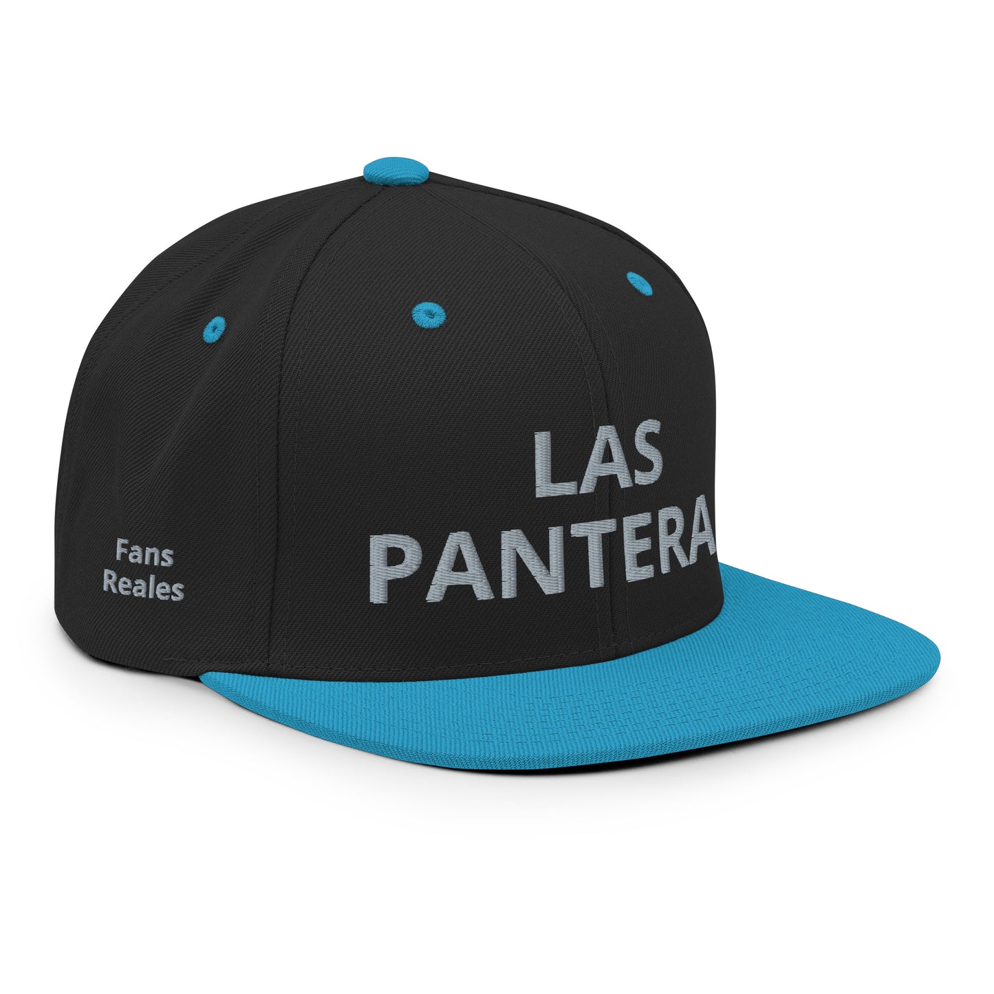 Gorra - Panteras (2)