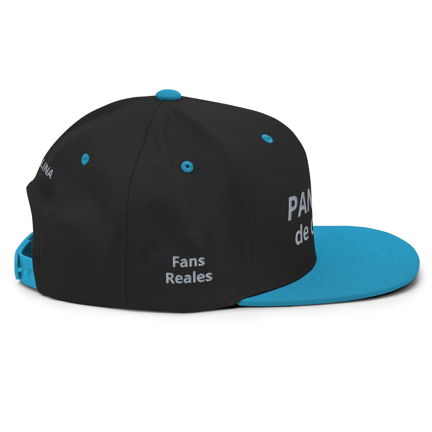 Snapback Hat - Panteras (1)