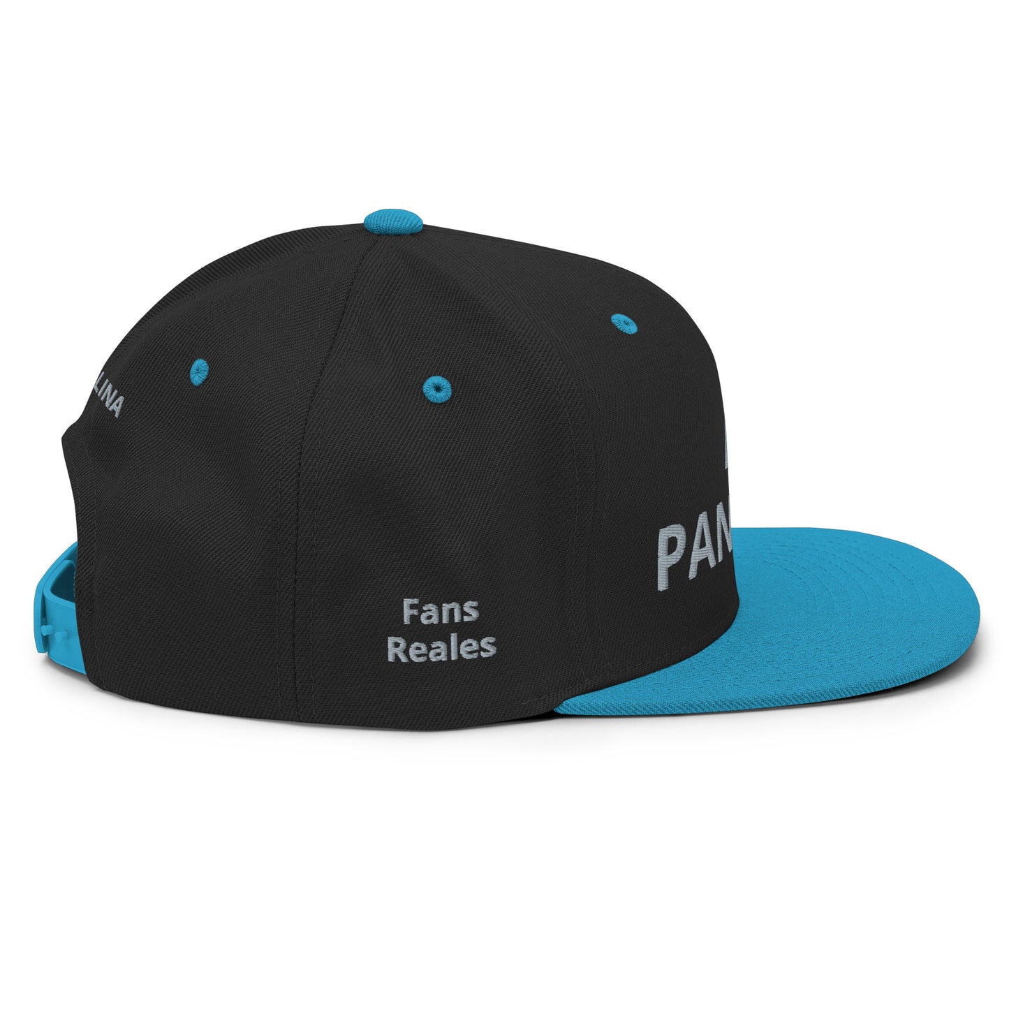 Gorra - Panteras (2)