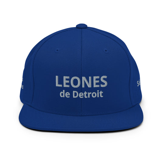 Gorra - Leones (1)